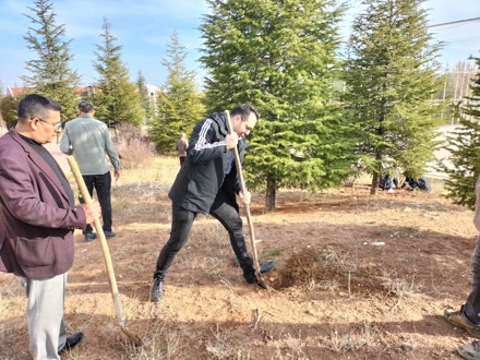 Her Çalışan Bir Fidan